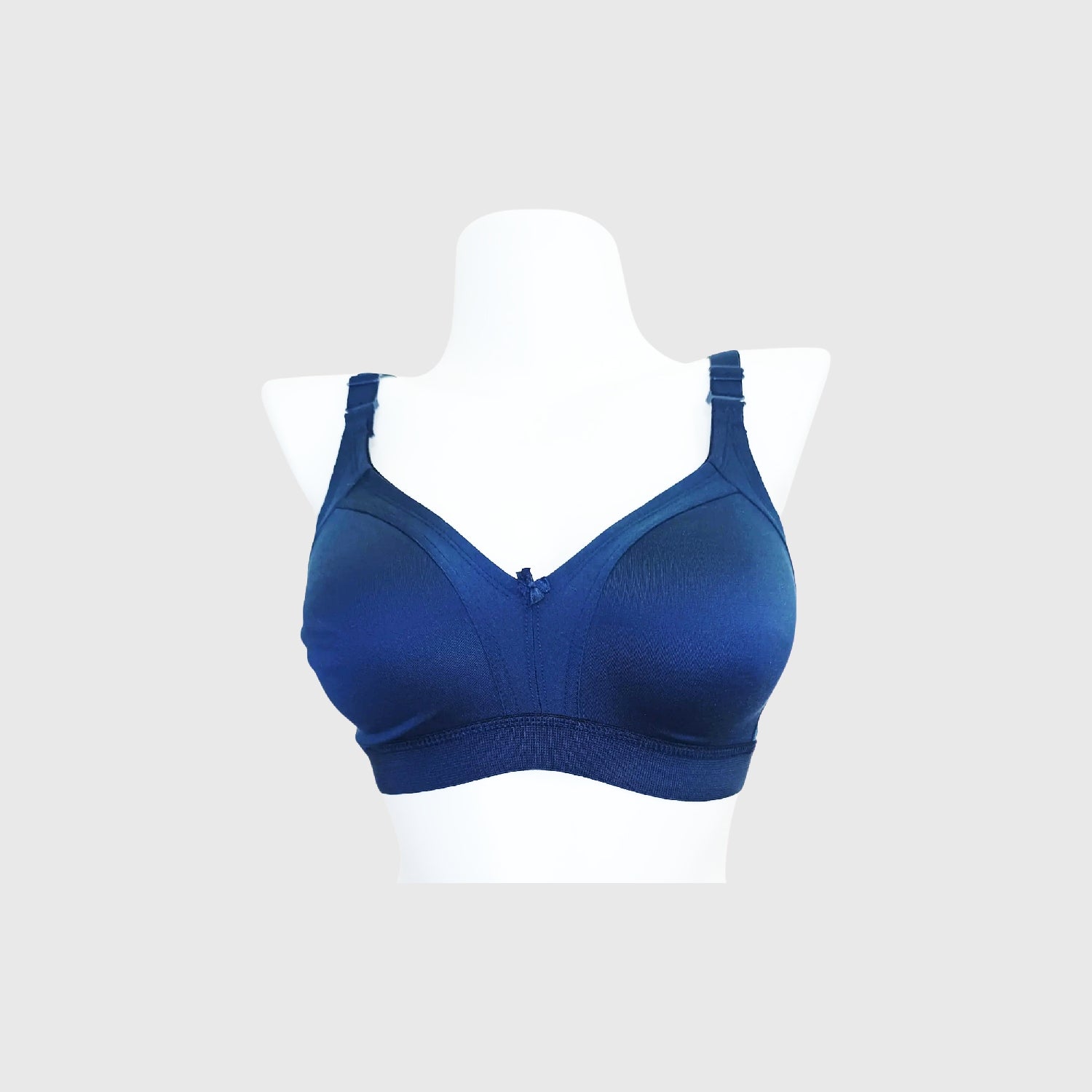 Teesta C - D  Cup Full coverage bra