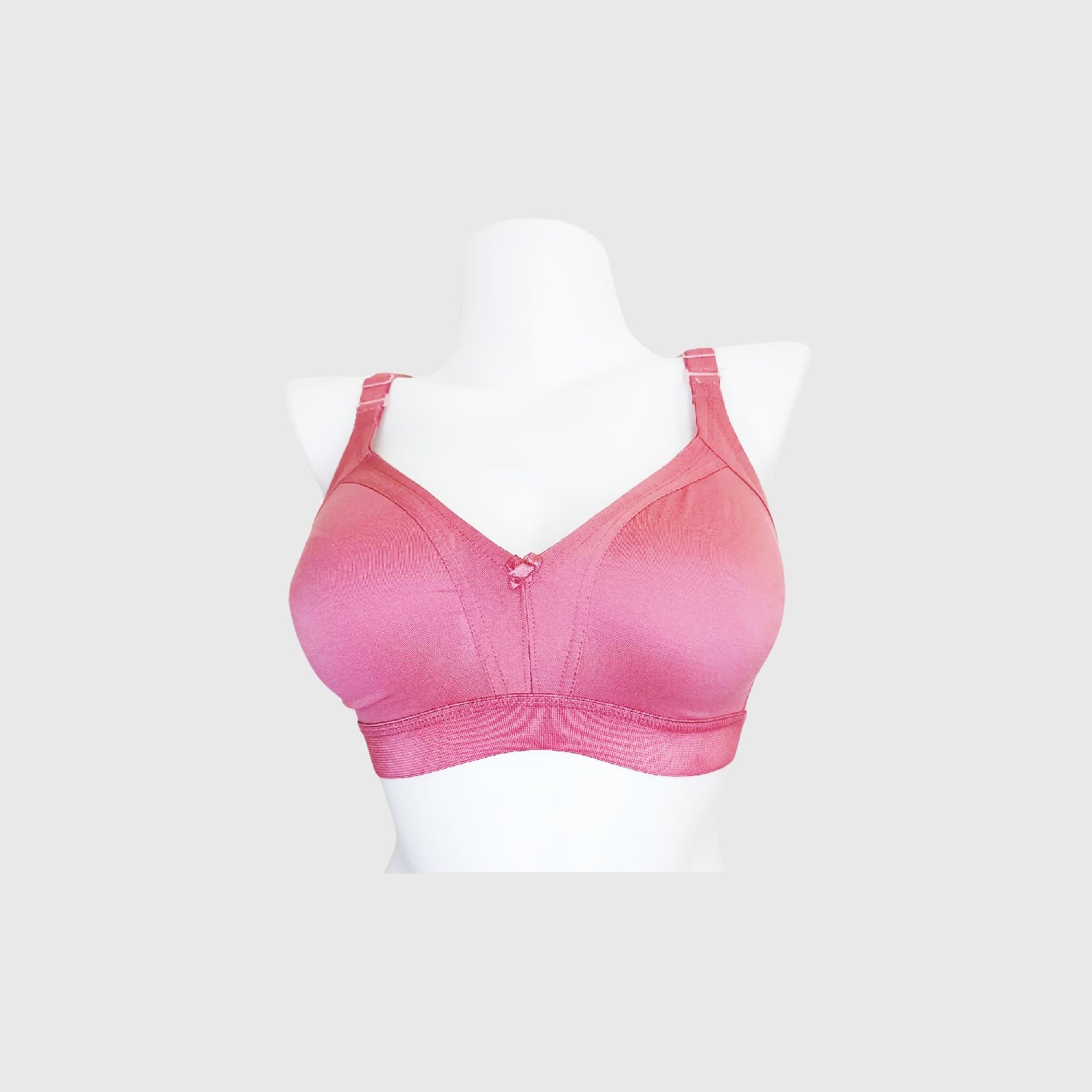 Teesta C - D  Cup Full coverage bra