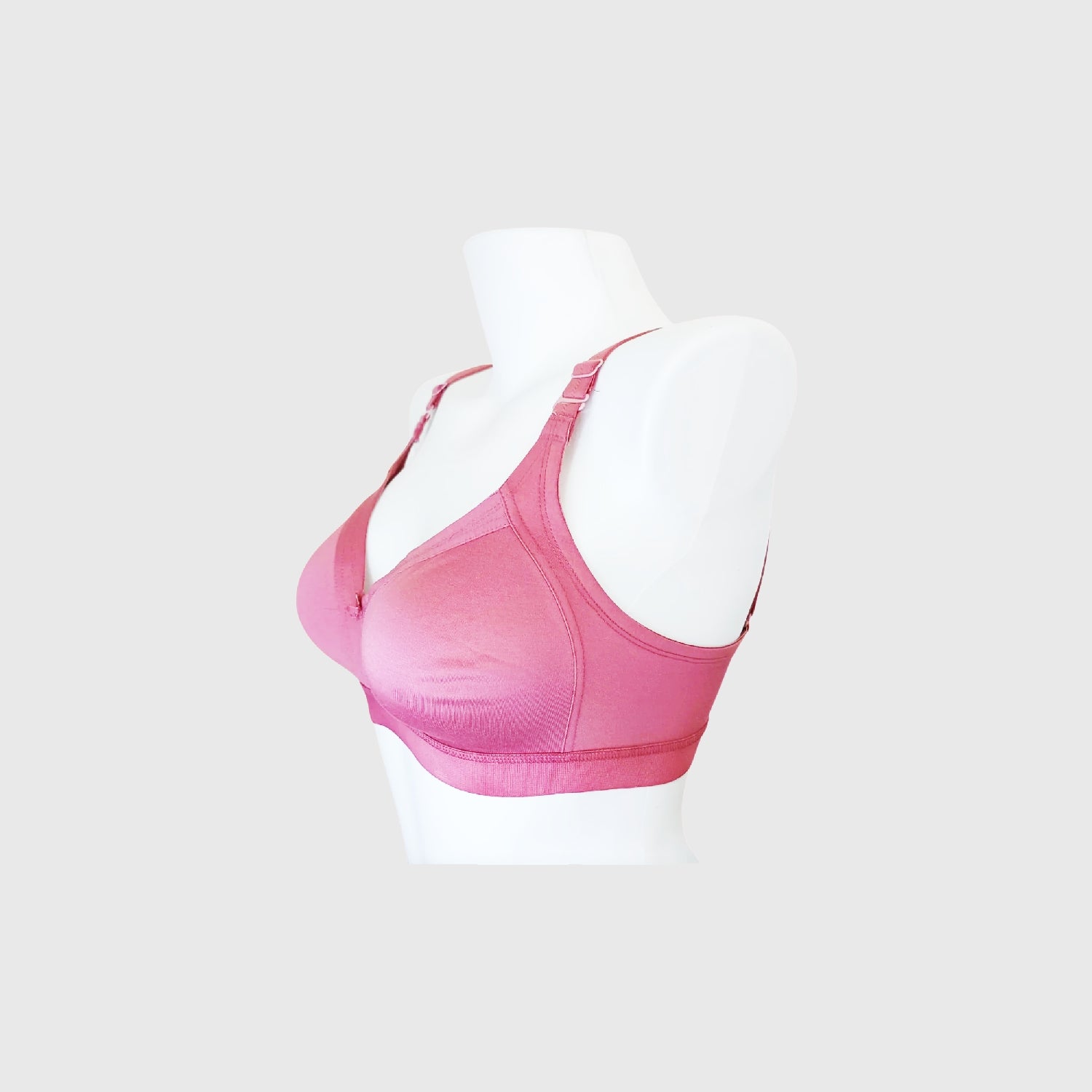 Teesta C - D  Cup Full coverage bra
