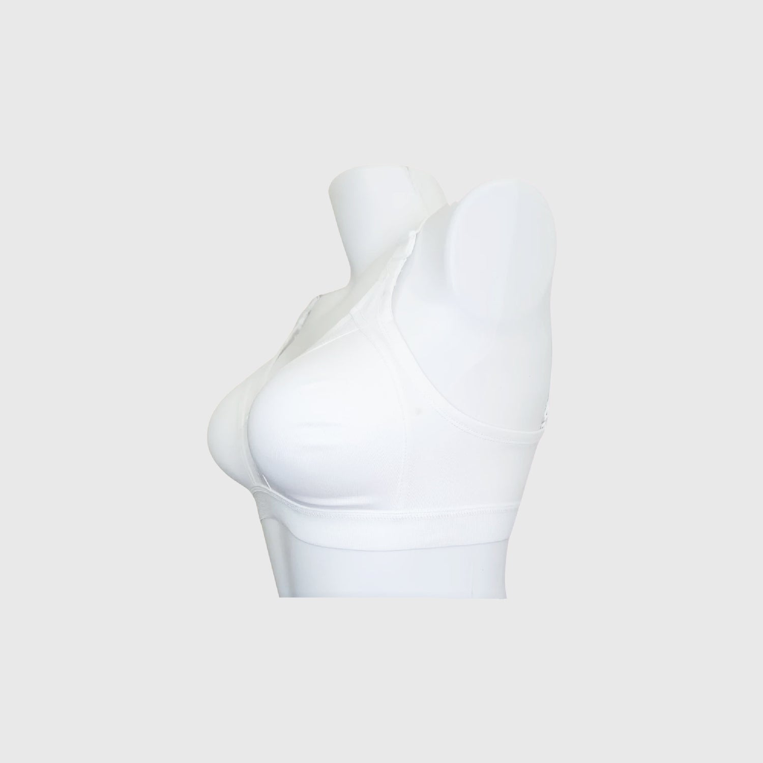 Teesta C - D  Cup Full coverage bra