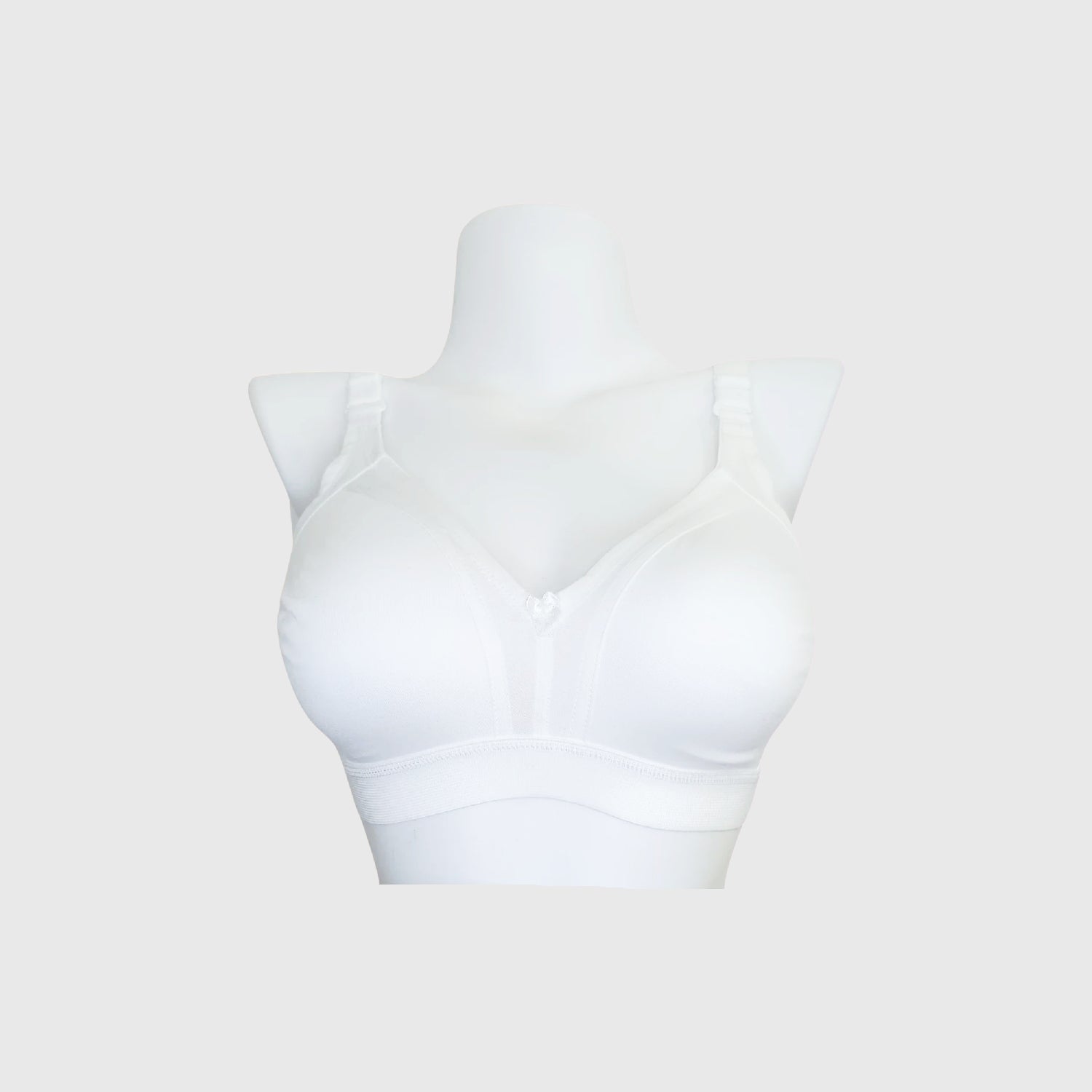 Teesta C - D  Cup Full coverage bra